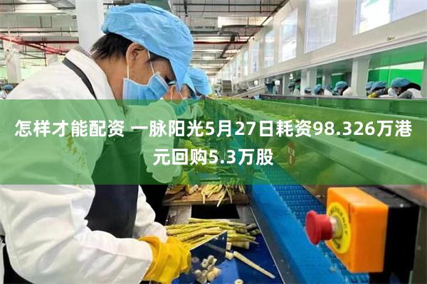 怎样才能配资 一脉阳光5月27日耗资98.326万港元回购5.3万股