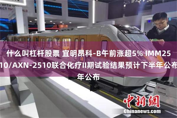 什么叫杠杆股票 宜明昂科-B午前涨超5% IMM2510/AXN-2510联合化疗II期试验结果预计下半年公布