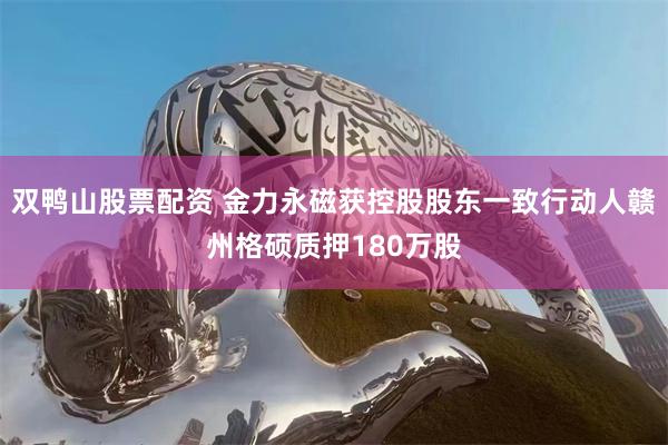 双鸭山股票配资 金力永磁获控股股东一致行动人赣州格硕质押180万股