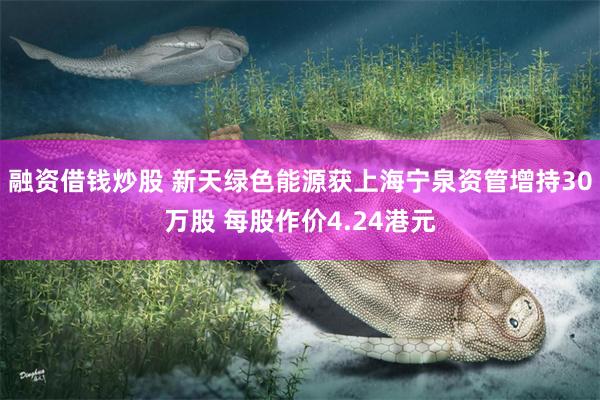 融资借钱炒股 新天绿色能源获上海宁泉资管增持30万股 每股作价4.24港元