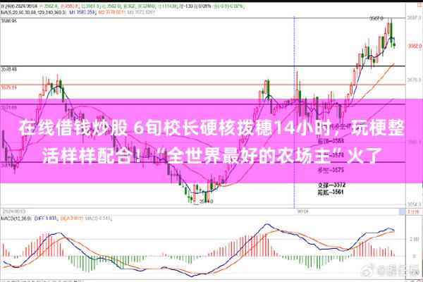 在线借钱炒股 6旬校长硬核拨穗14小时，玩梗整活样样配合！“全世界最好的农场主”火了