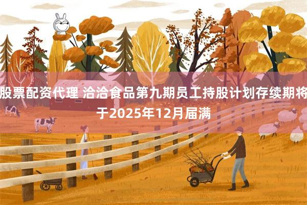 股票配资代理 洽洽食品第九期员工持股计划存续期将于2025年12月届满