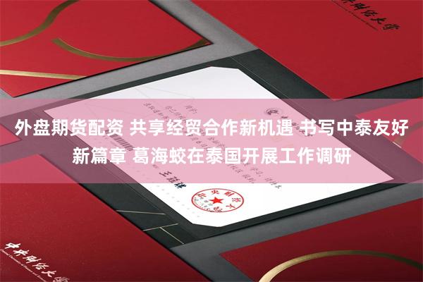 外盘期货配资 共享经贸合作新机遇 书写中泰友好新篇章 葛海蛟在泰国开展工作调研