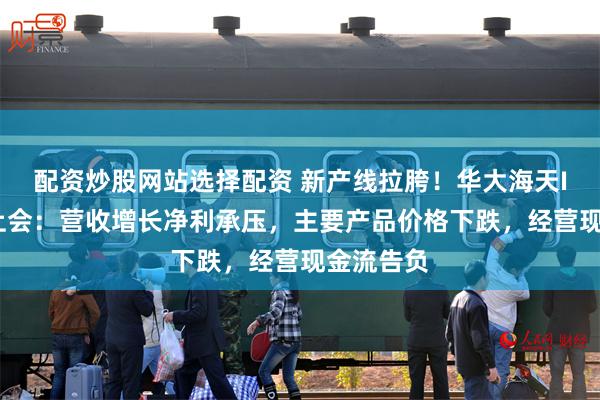 配资炒股网站选择配资 新产线拉胯！华大海天IPO即将上会：营收增长净利承压，主要产品价格下跌，经营现金流告负