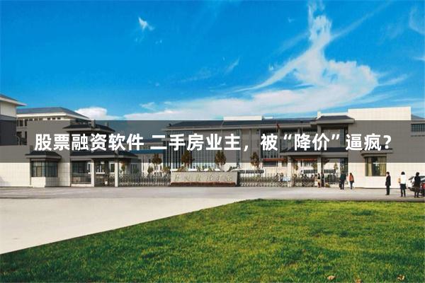 股票融资软件 二手房业主，被“降价”逼疯？