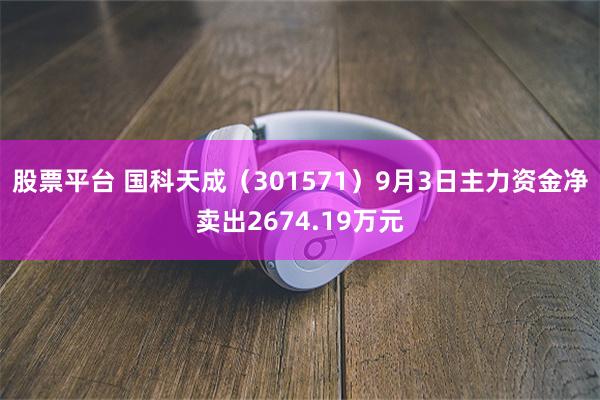 股票平台 国科天成（301571）9月3日主力资金净卖出2674.19万元