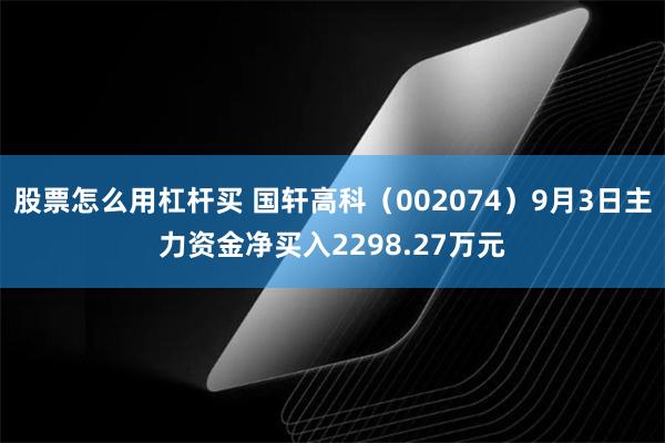 股票怎么用杠杆买 国轩高科（002074）9月3日主力资金净买入2298.27万元