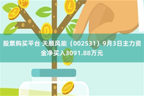 股票购买平台 天顺风能（002531）9月3日主力资金净买入3091.88万元