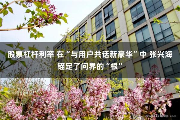 股票杠杆利率 在“与用户共话新豪华”中 张兴海锚定了问界的“根”