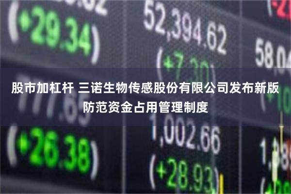 股市加杠杆 三诺生物传感股份有限公司发布新版防范资金占用管理制度