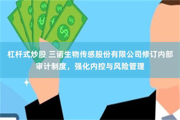 杠杆式炒股 三诺生物传感股份有限公司修订内部审计制度，强化内控与风险管理