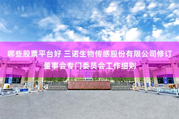 哪些股票平台好 三诺生物传感股份有限公司修订董事会专门委员会工作细则