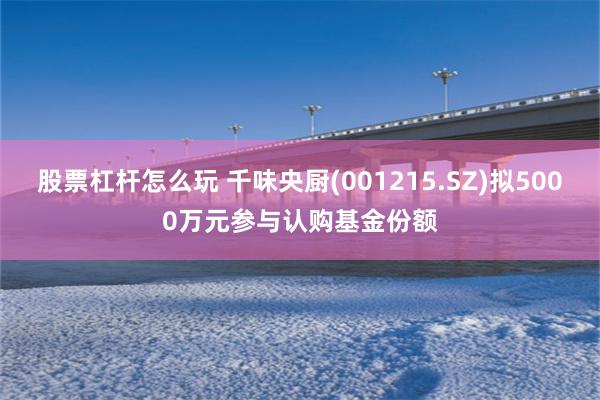 股票杠杆怎么玩 千味央厨(001215.SZ)拟5000万元参与认购基金份额