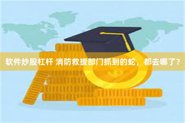 软件炒股杠杆 消防救援部门抓到的蛇，都去哪了？