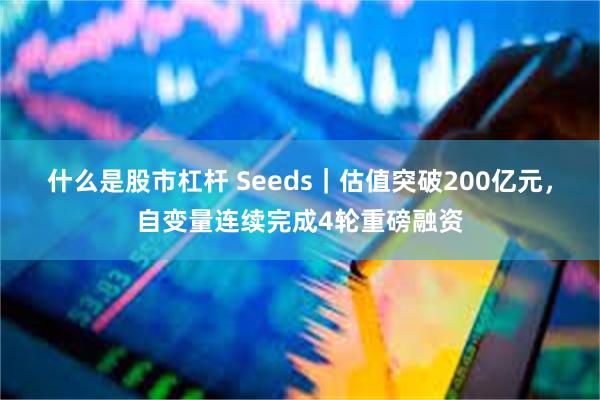 什么是股市杠杆 Seeds｜估值突破200亿元，自变量连续完成4轮重磅融资
