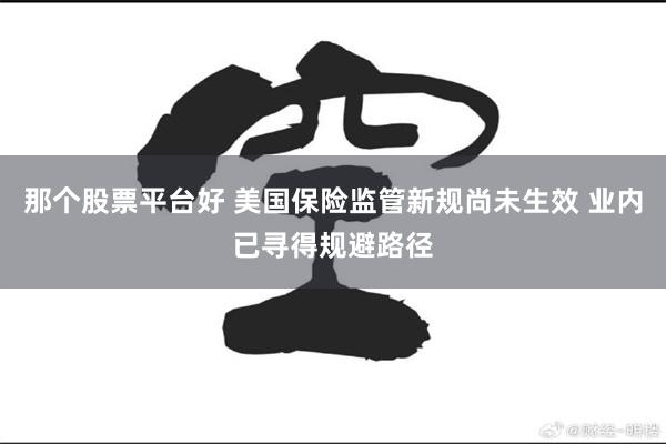 那个股票平台好 美国保险监管新规尚未生效 业内已寻得规避路径