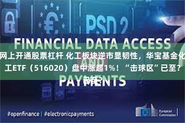 网上开通股票杠杆 化工板块逆市显韧性，华宝基金化工ETF（516020）盘中涨超1%！“击球区”已至？