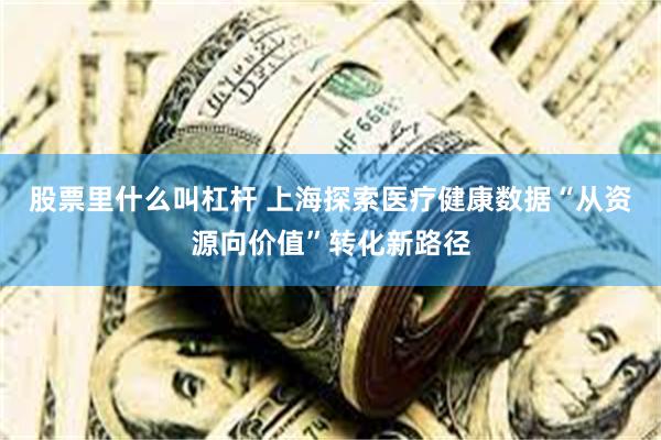股票里什么叫杠杆 上海探索医疗健康数据“从资源向价值”转化新路径