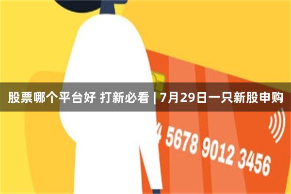 股票哪个平台好 打新必看 | 7月29日一只新股申购
