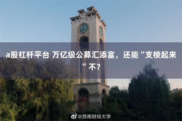 a股杠杆平台 万亿级公募汇添富，还能“支棱起来”不？