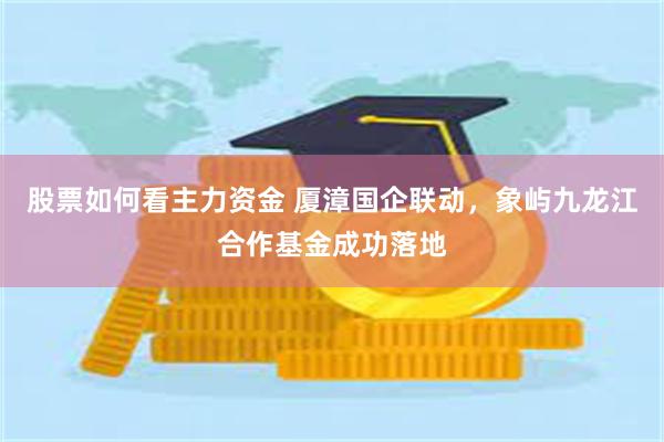 股票如何看主力资金 厦漳国企联动，象屿九龙江合作基金成功落地