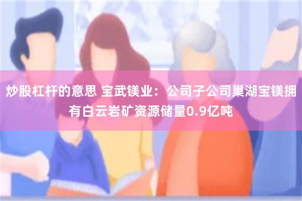 炒股杠杆的意思 宝武镁业：公司子公司巢湖宝镁拥有白云岩矿资源储量0.9亿吨