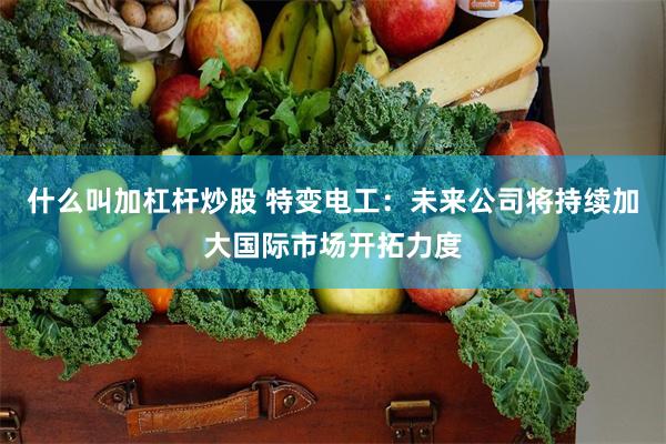 什么叫加杠杆炒股 特变电工：未来公司将持续加大国际市场开拓力度