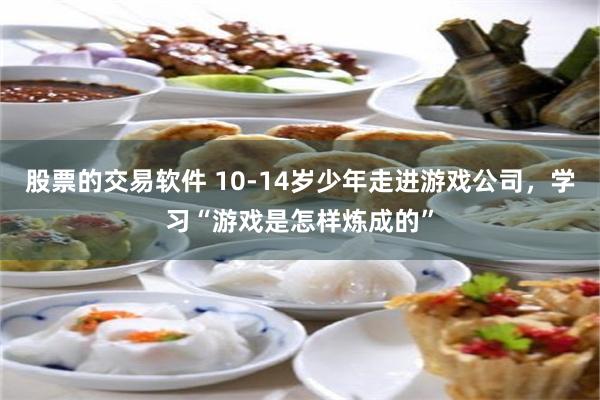 股票的交易软件 10-14岁少年走进游戏公司，学习“游戏是怎样炼成的”