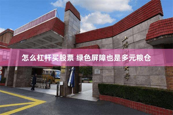 怎么杠杆买股票 绿色屏障也是多元粮仓
