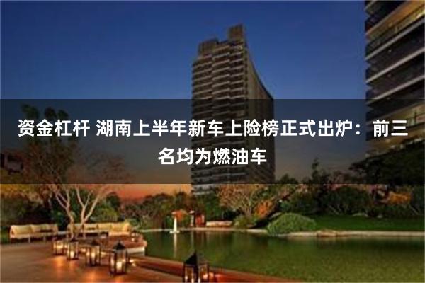 资金杠杆 湖南上半年新车上险榜正式出炉：前三名均为燃油车