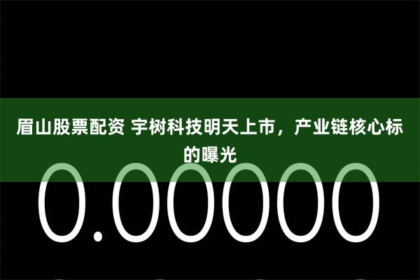 眉山股票配资 宇树科技明天上市,产业链核心标的曝光