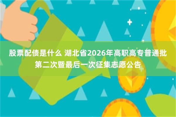 股票配债是什么 湖北省2026年高职高专普通批第二次暨最后一次征集志愿公告