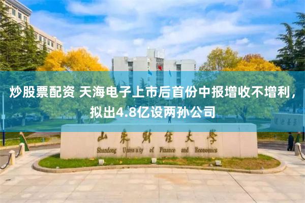 炒股票配资 天海电子上市后首份中报增收不增利,拟出4.8亿设两孙公司
