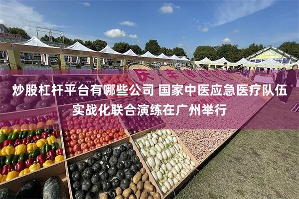 炒股杠杆平台有哪些公司 国家中医应急医疗队伍实战化联合演练在广州举行