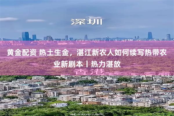 黄金配资 热土生金，湛江新农人如何续写热带农业新剧本丨热力湛放