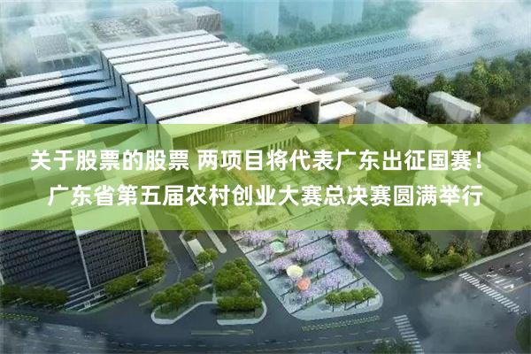 关于股票的股票 两项目将代表广东出征国赛！ 广东省第五届农村创业大赛总决赛圆满举行